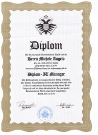 Dipom It Manager